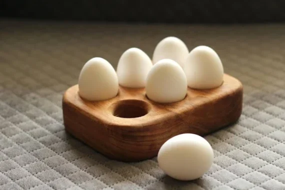 Duck Egg Tray